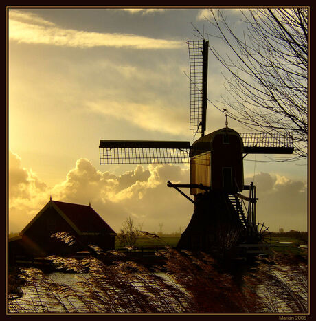 Holland