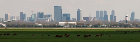 Panorama Rotterdam Airport