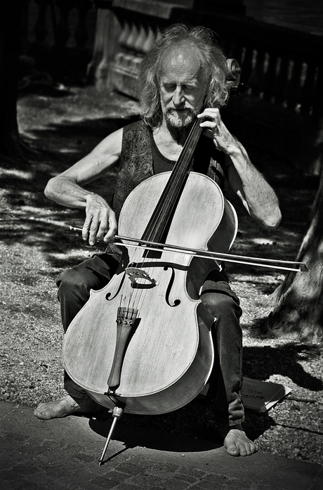 De cellist