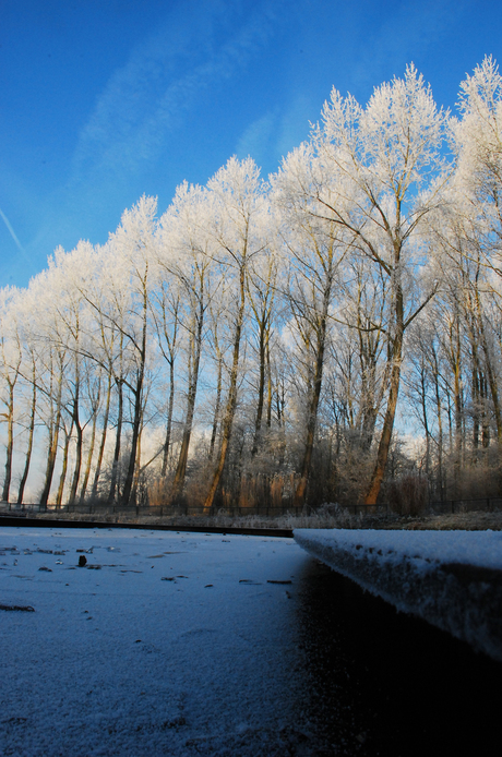 Winter in de Polder