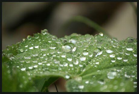 Diamants of waterdrops