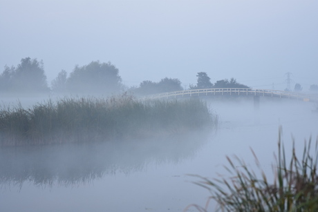 Mist in de polder