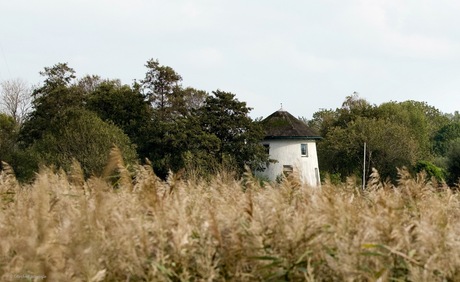 Oude molen