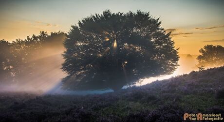 2017-08-16 Posbank Zonsopkomst-14