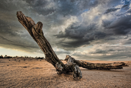 Waiting for the storm