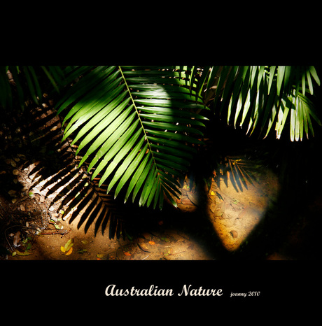 Australian Nature-1