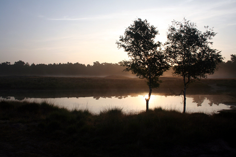 Zonsopgang op Heidestein