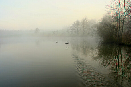 ochtend mist