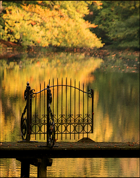 gouden herfst impressie..