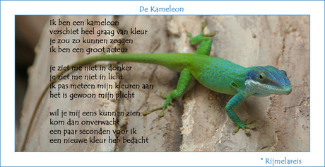 De kameleon