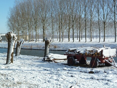 Winter Hoekse Waard 2013