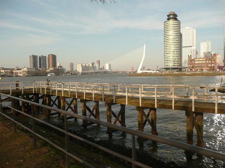 Rotterdam met Erasmus brug