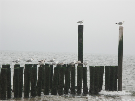 prachtig strand