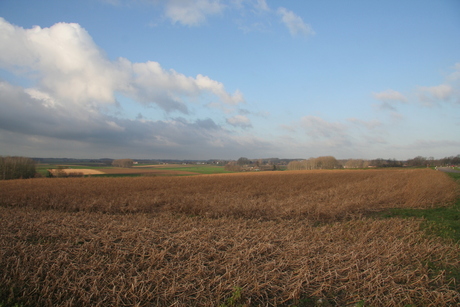 Het Limburgse landschap