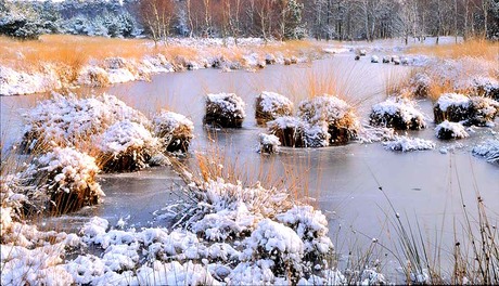 Sneeuwlandschap