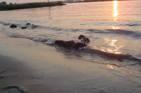 Golfslag aan de rijn