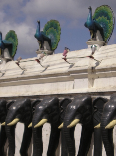 Zo mooi is de natuur