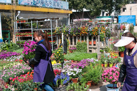 Bloemenmarkt Shanghai