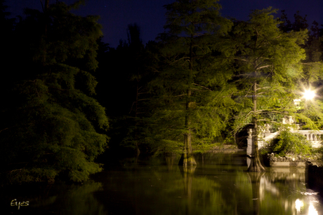 Retiro at night