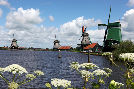 Zaanse Schans