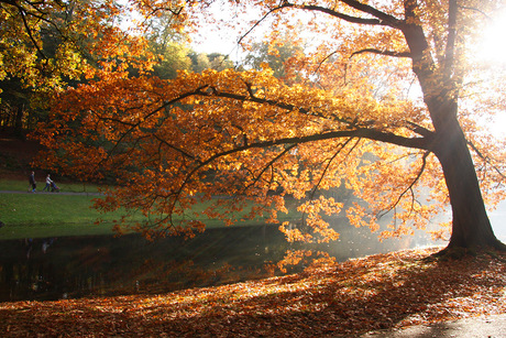 Sonsbeekpark Arnhem