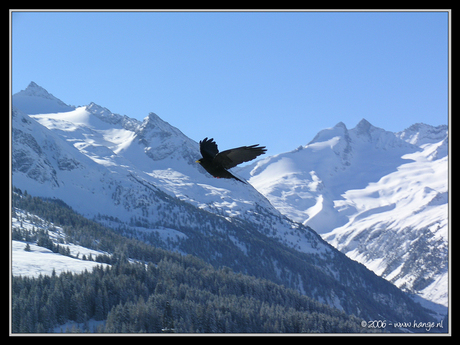 Vogelvlucht