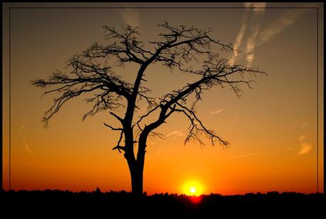 Veluwe by night