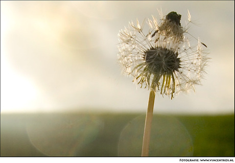 Waar is de wind?