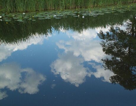 Wolken Spiegelen in de Oostelijke Wetering (verkleind).jpg