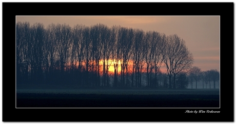 Biesbosch