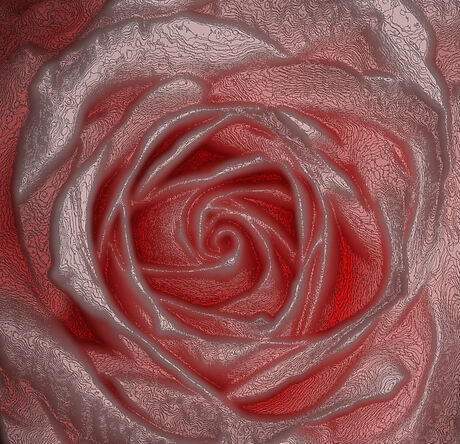 Collage hart van roos