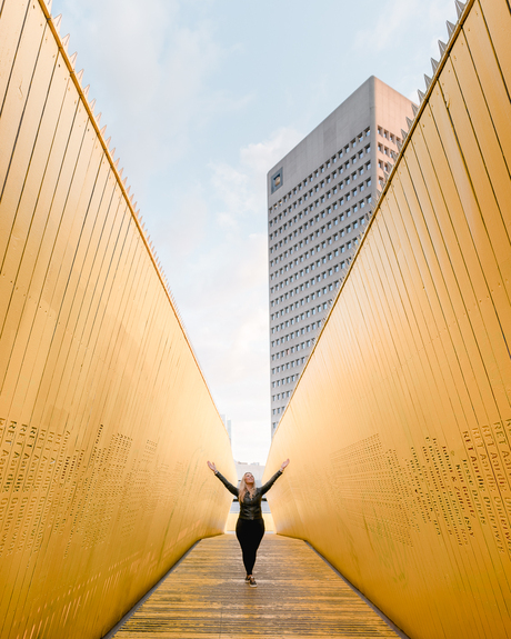 Luchtsingel Rotterdam