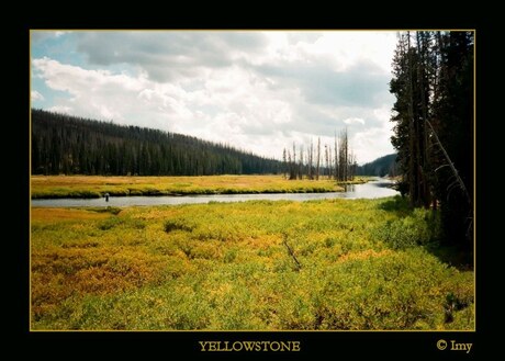 Yellowstone VI