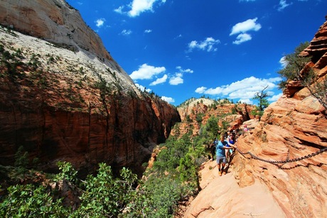 The road to Angel's landing. Zion National Park