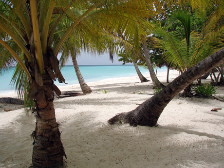 Isla Saona, Dominicaanse Republiek