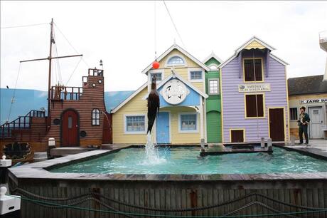 Harderwijk Dolfinarium