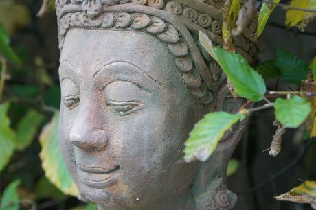 Buddha in de herfsttuin 2012.JPG