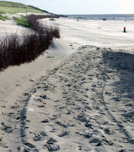 Strand Hollum/Ameland