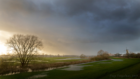 Uiterwaarden bij Gorinchem