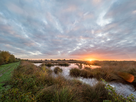 Zonsopgang in de Peel