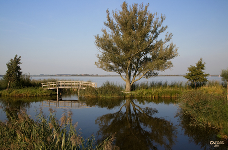 Wormer- en Jisperveld