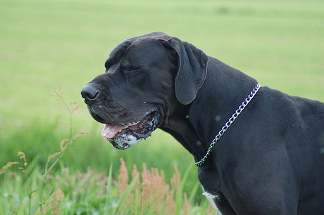 Lekker aan het wandelen