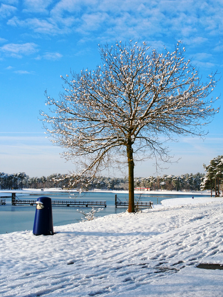 Henschotermeer in wintersfeer