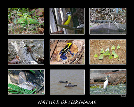 Nature of Suriname