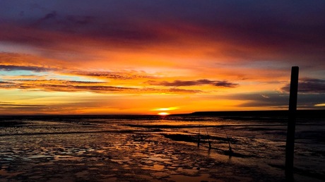 haventje De Cocksdorp, Texel