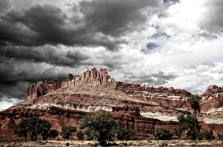 Capitol Reef National Park