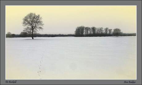 Natuurgebied de Borkeld