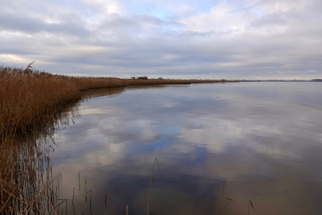 riet, wolken en water