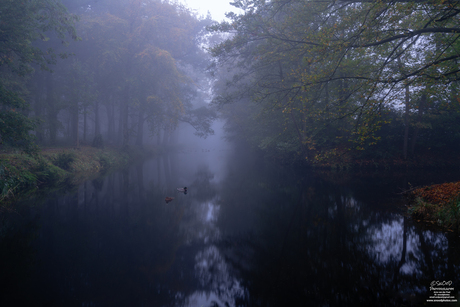 Misty Autumn