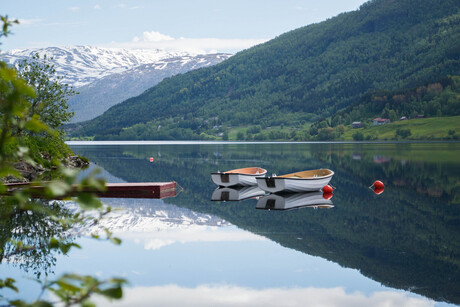 Gespiegeld fjord